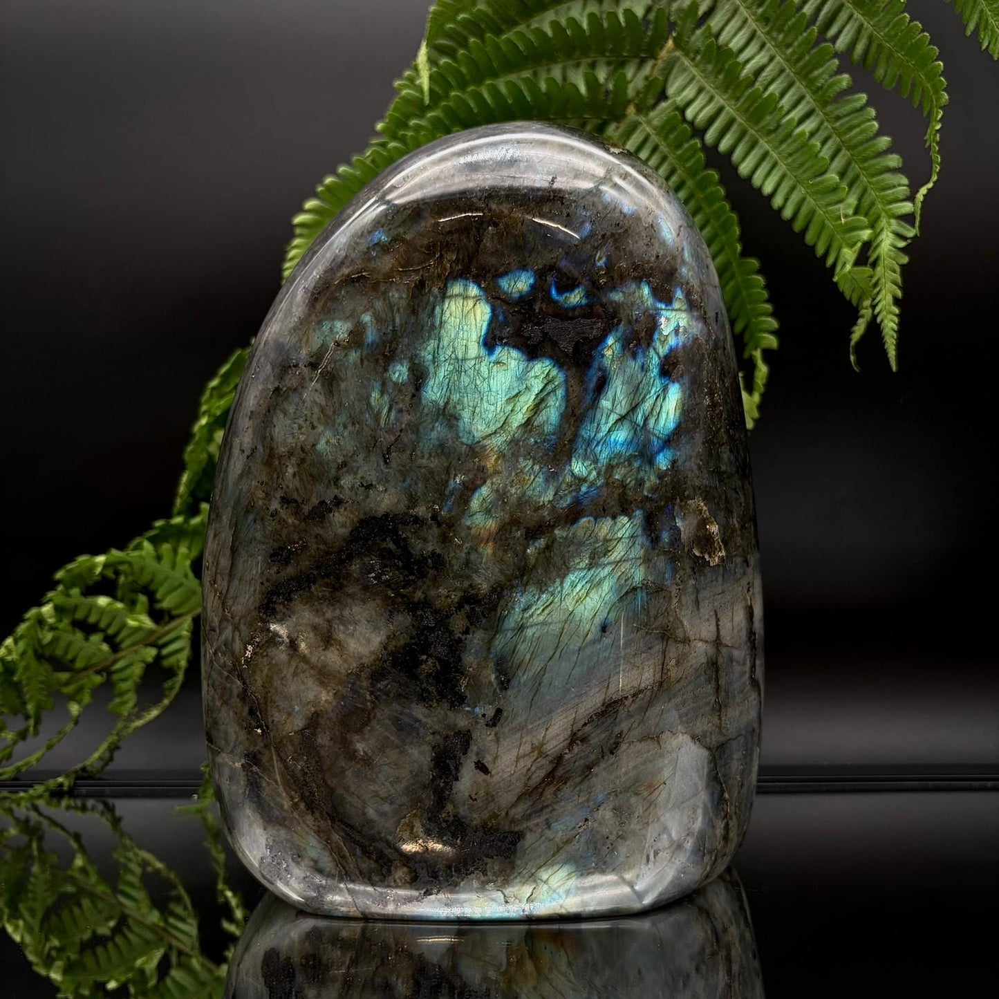 XL polished labradorite crystal freeform for home decor, crystal collections and display spaces.