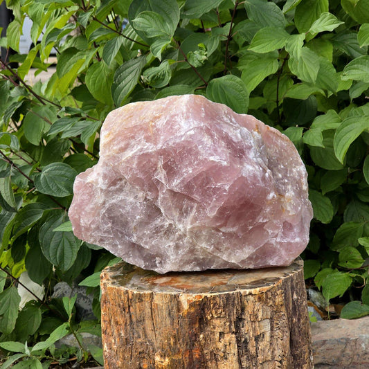 XL natural raw Rose Quartz crystal specimen displaying pink quartz colouration and an irregular rough stone form.