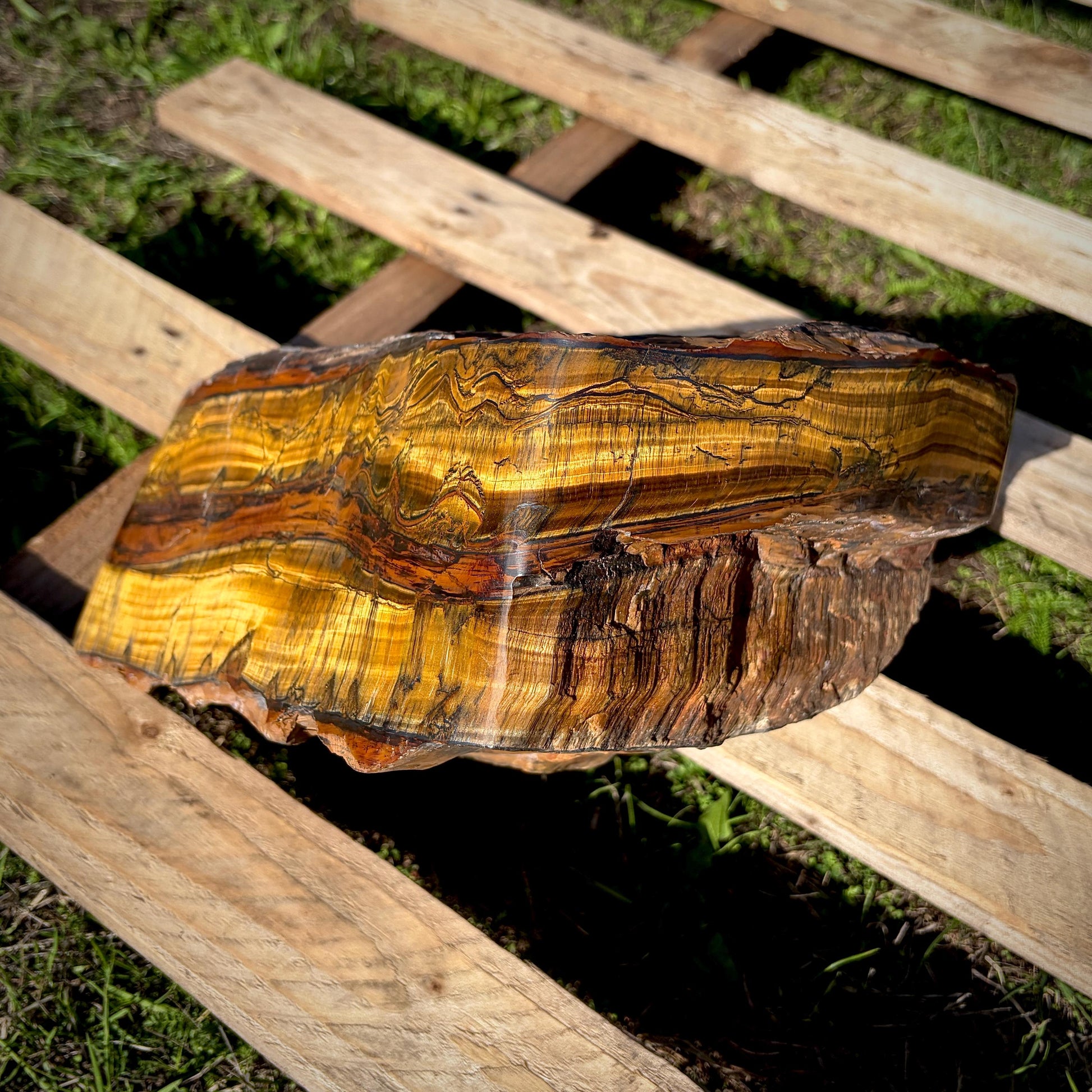 XL Tigers Eye natural mineral for statement interiors