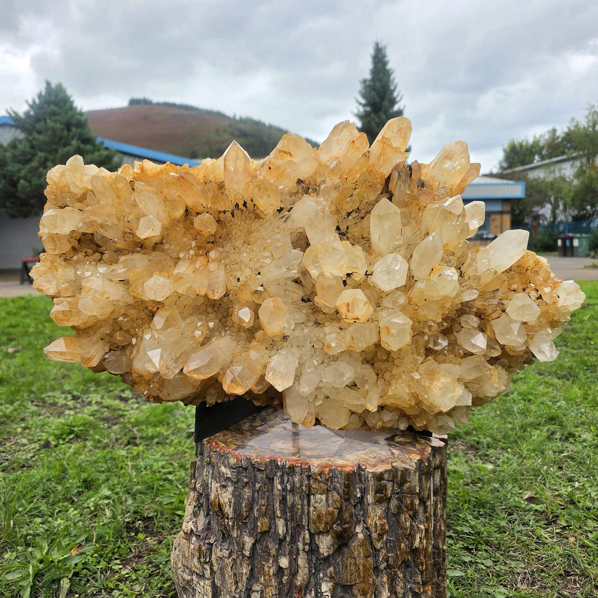 XXL Golden Healer Quartz crystal cluster