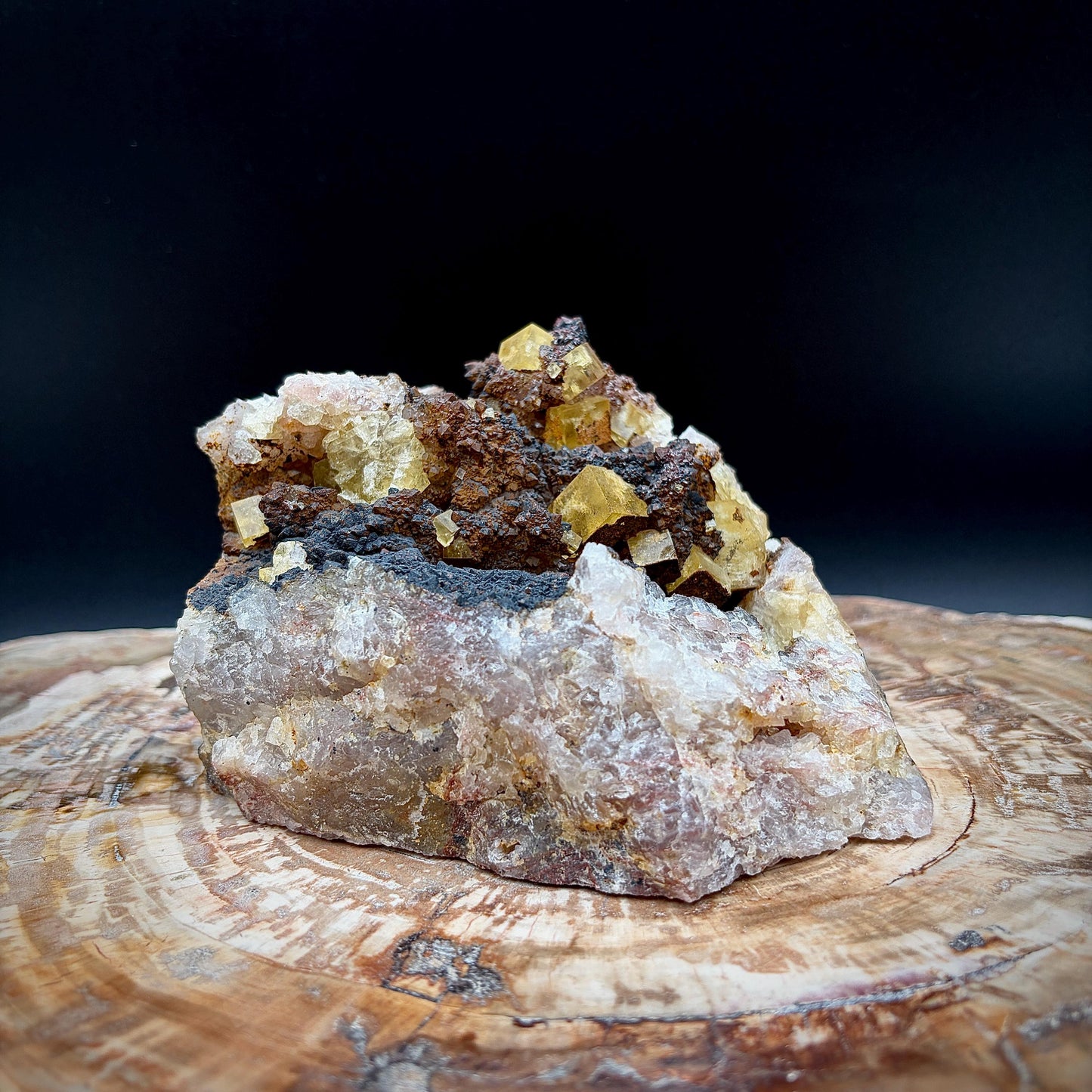 Yellow Fluorite on black matrix displayed as natural sculpture