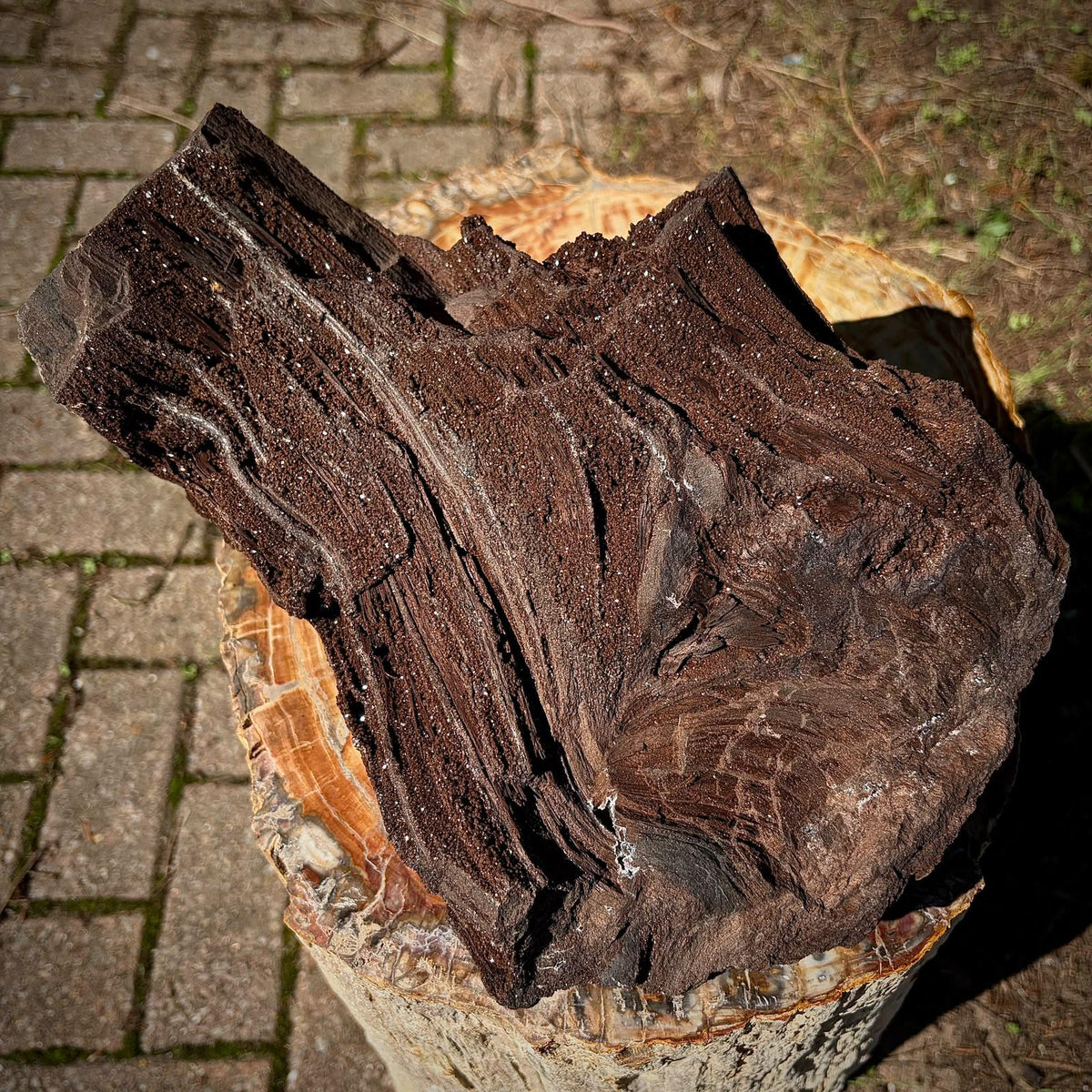 Zwenkau fossil wood and Quartz specimen from Saxony, Germany, weighing 6.15kg.
