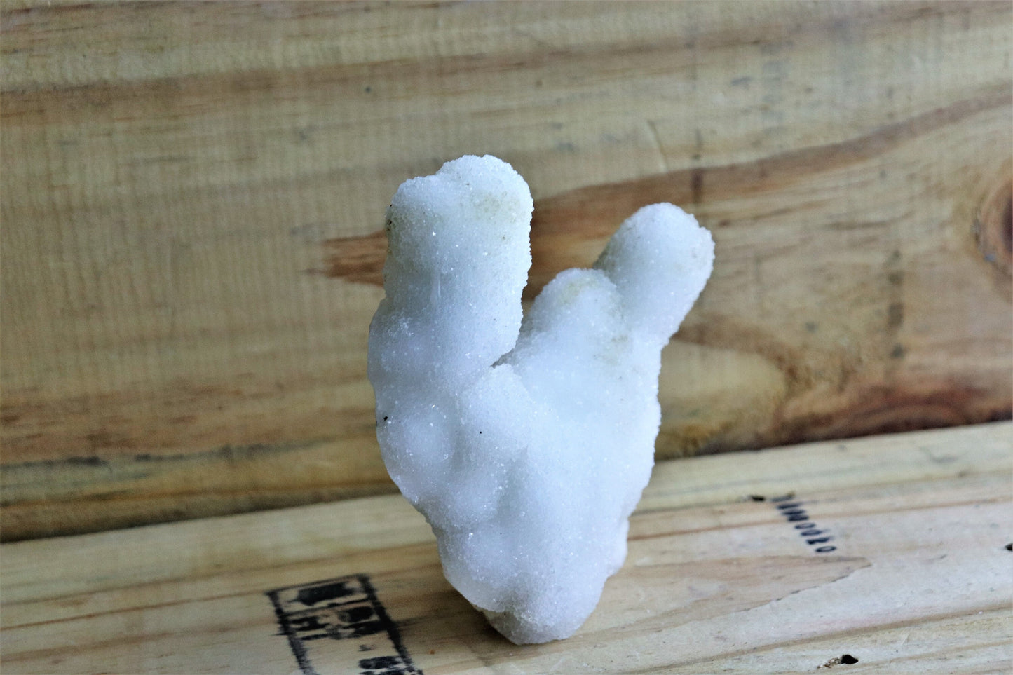 61) Large Quartz Crystal Stalactite Coral / Spirit / Cactus