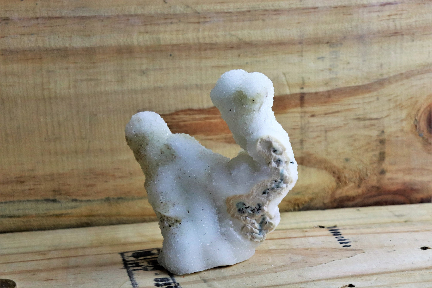 61) Large Quartz Crystal Stalactite Coral / Spirit / Cactus