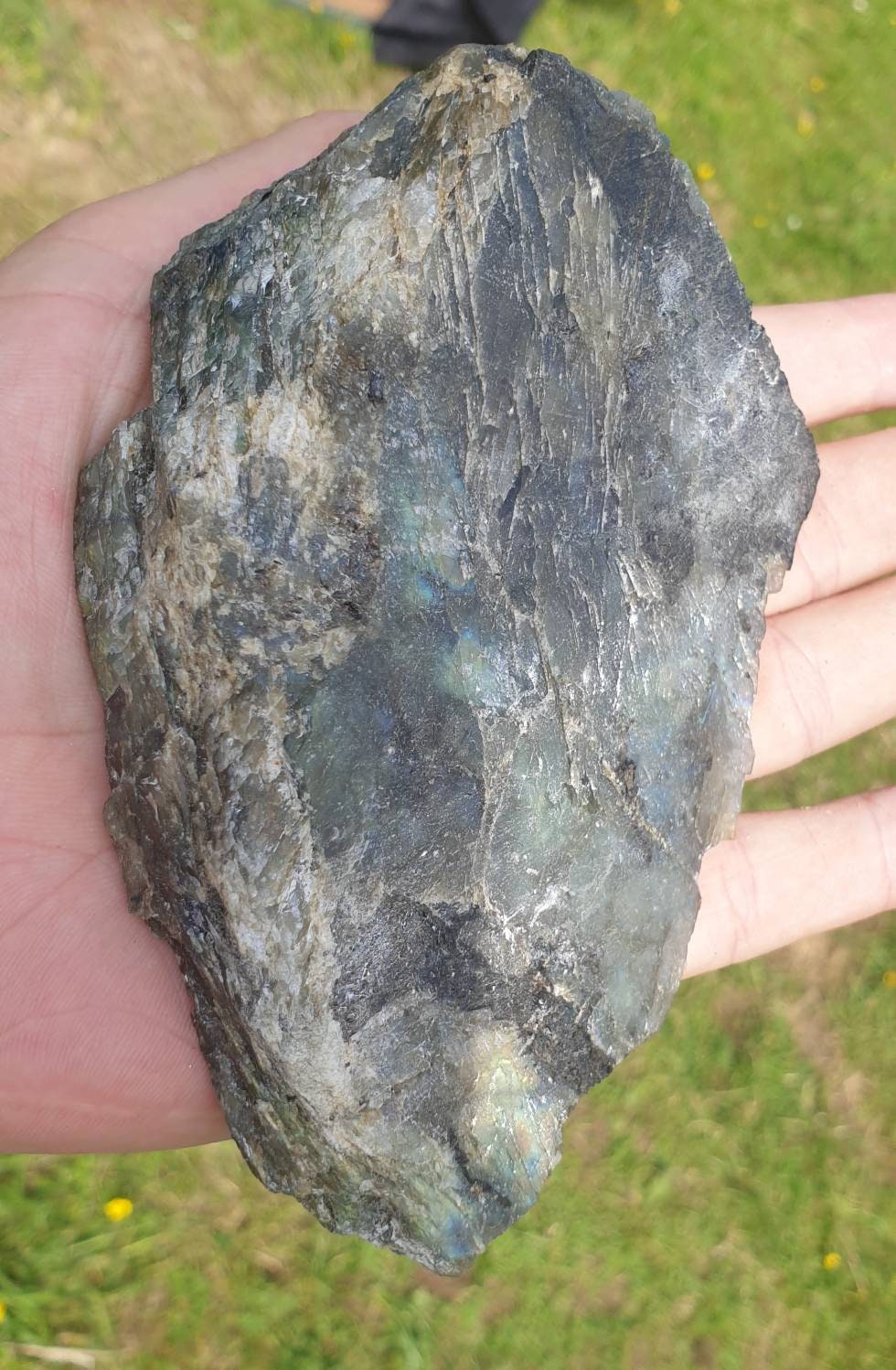18LH) Labradorite Crystal Slice