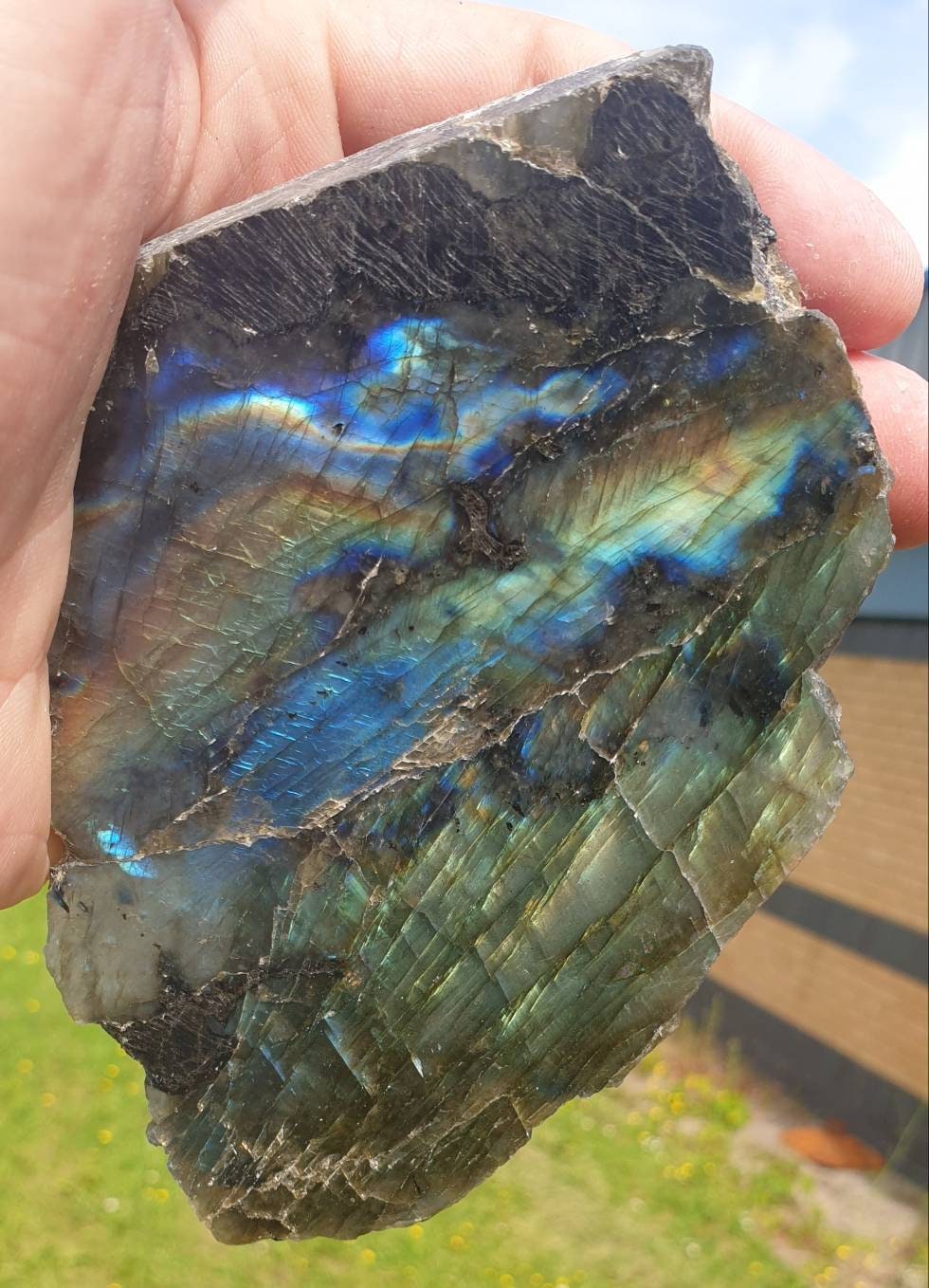 18LH) Labradorite Crystal Slice