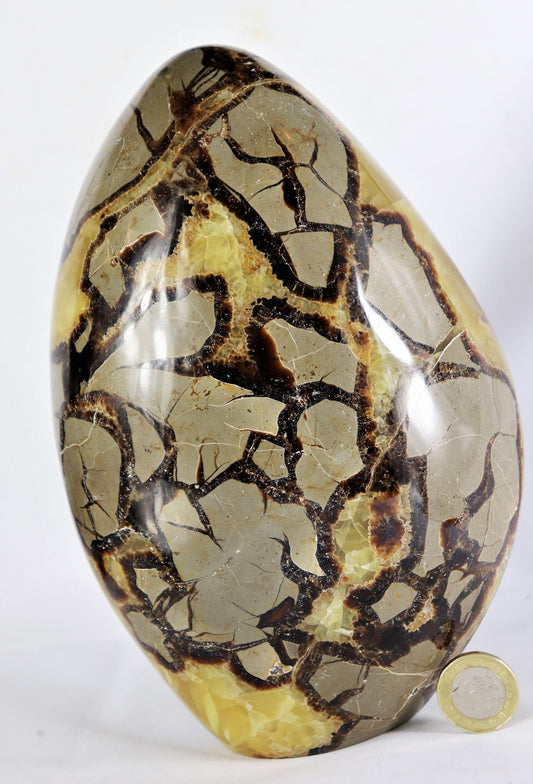 huge septarian crystal 