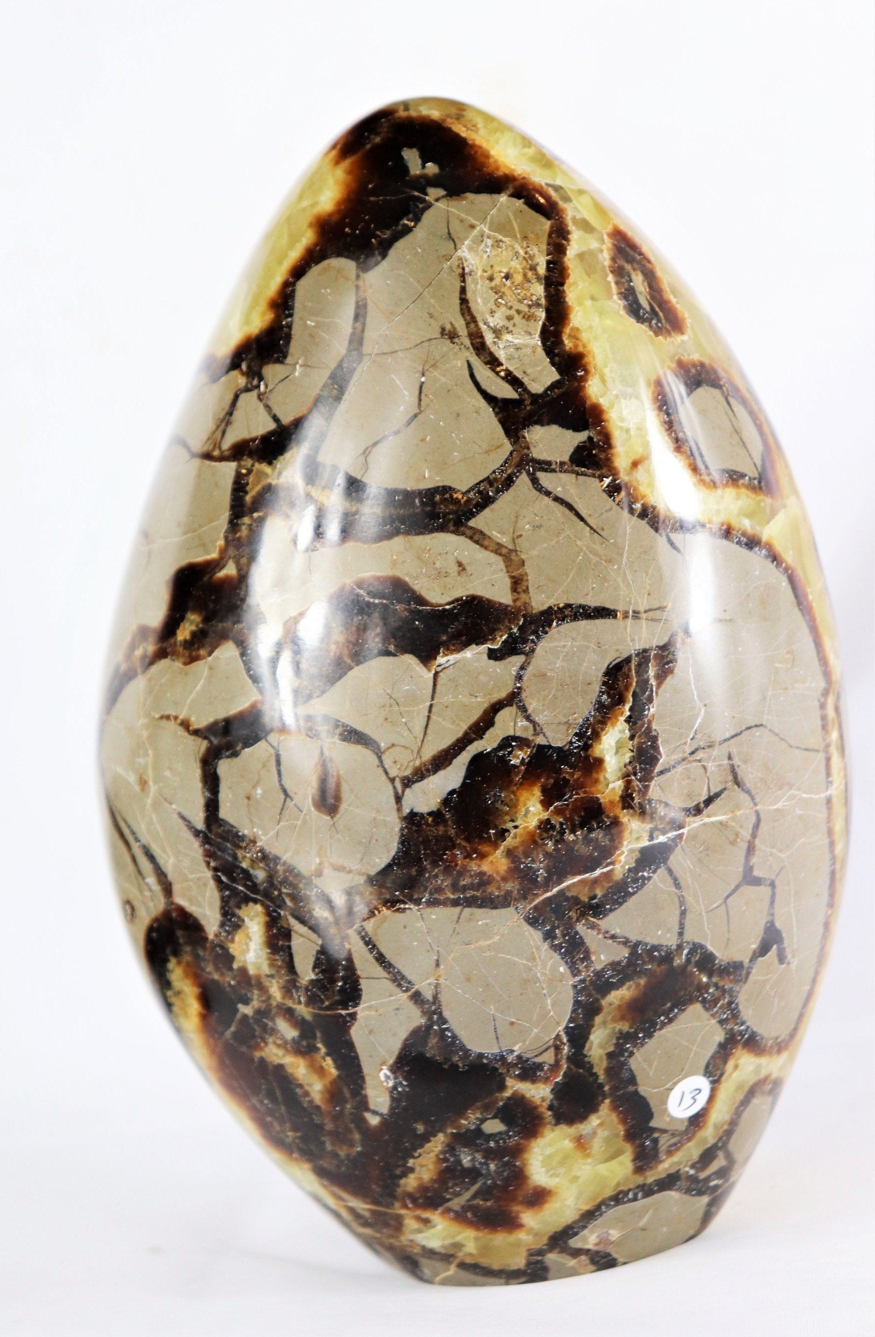 large septarian crystal