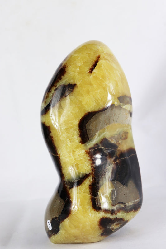 7) Large Septarian Calcite Crystal / Madagascar - Home Decor Great Gift High Grade Septaria