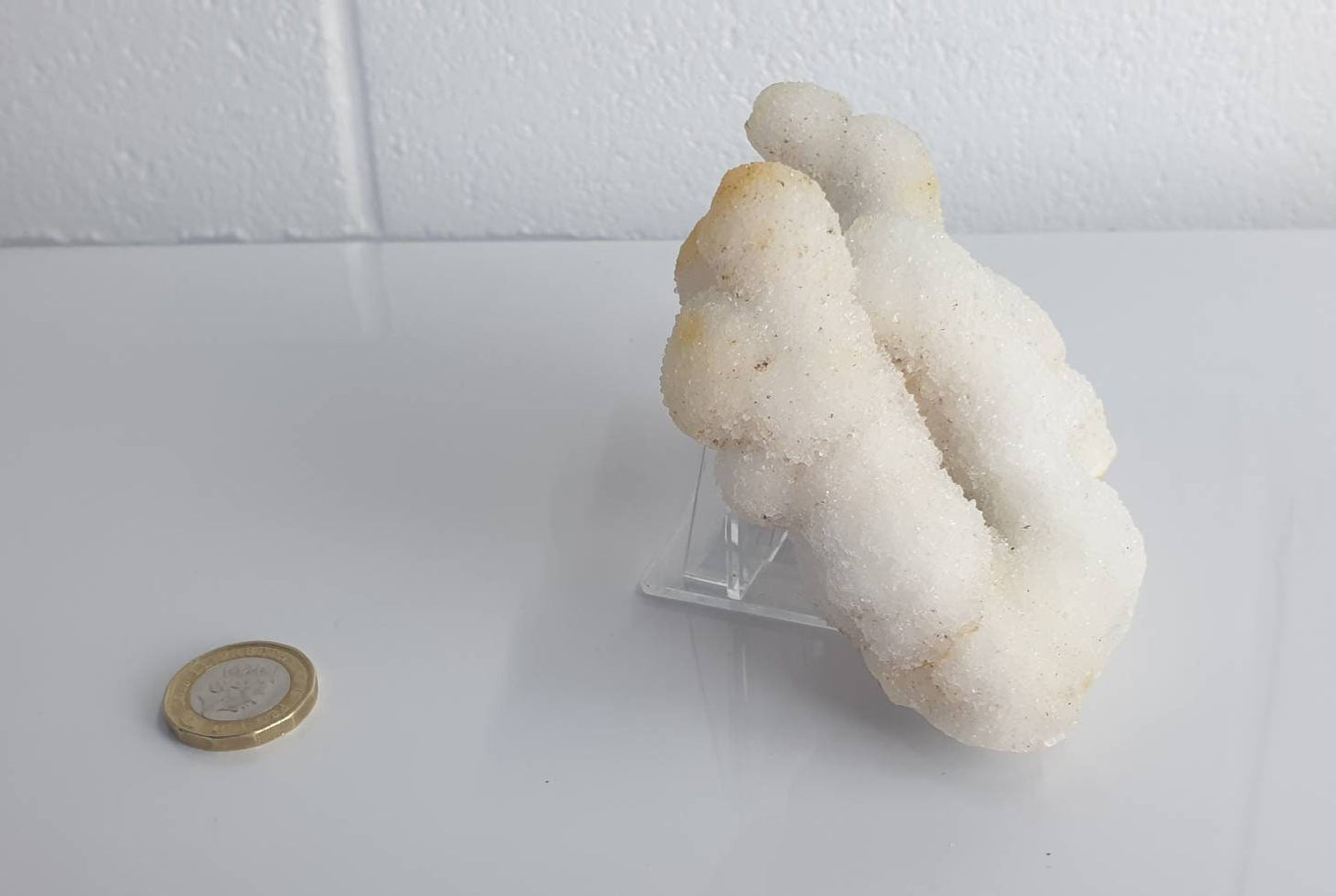 96) Large Quartz Crystal Stalactite Coral  Spirit Cactus
