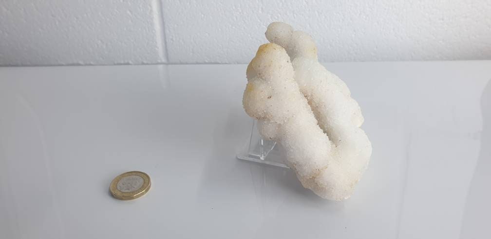 96) Large Quartz Crystal Stalactite Coral  Spirit Cactus