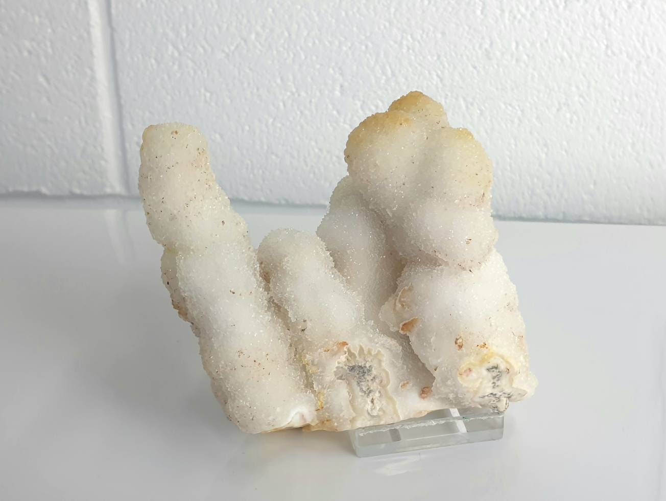 96) Large Quartz Crystal Stalactite Coral  Spirit Cactus