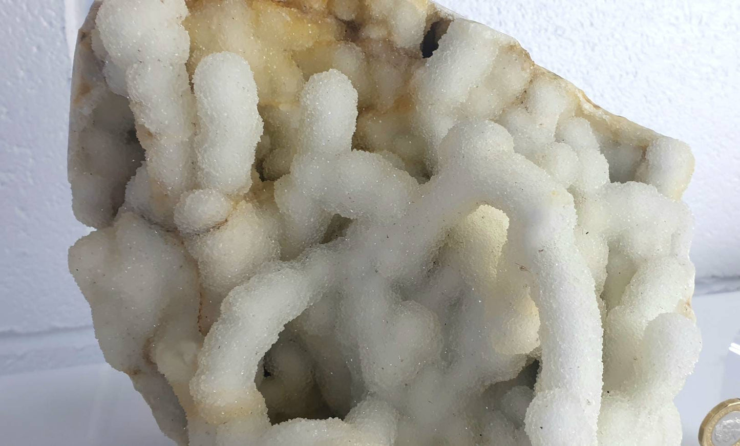 95) Large Quartz Crystal Stalactite Coral  Spirit Cactus