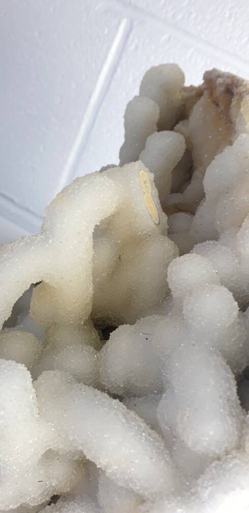 95) Large Quartz Crystal Stalactite Coral  Spirit Cactus