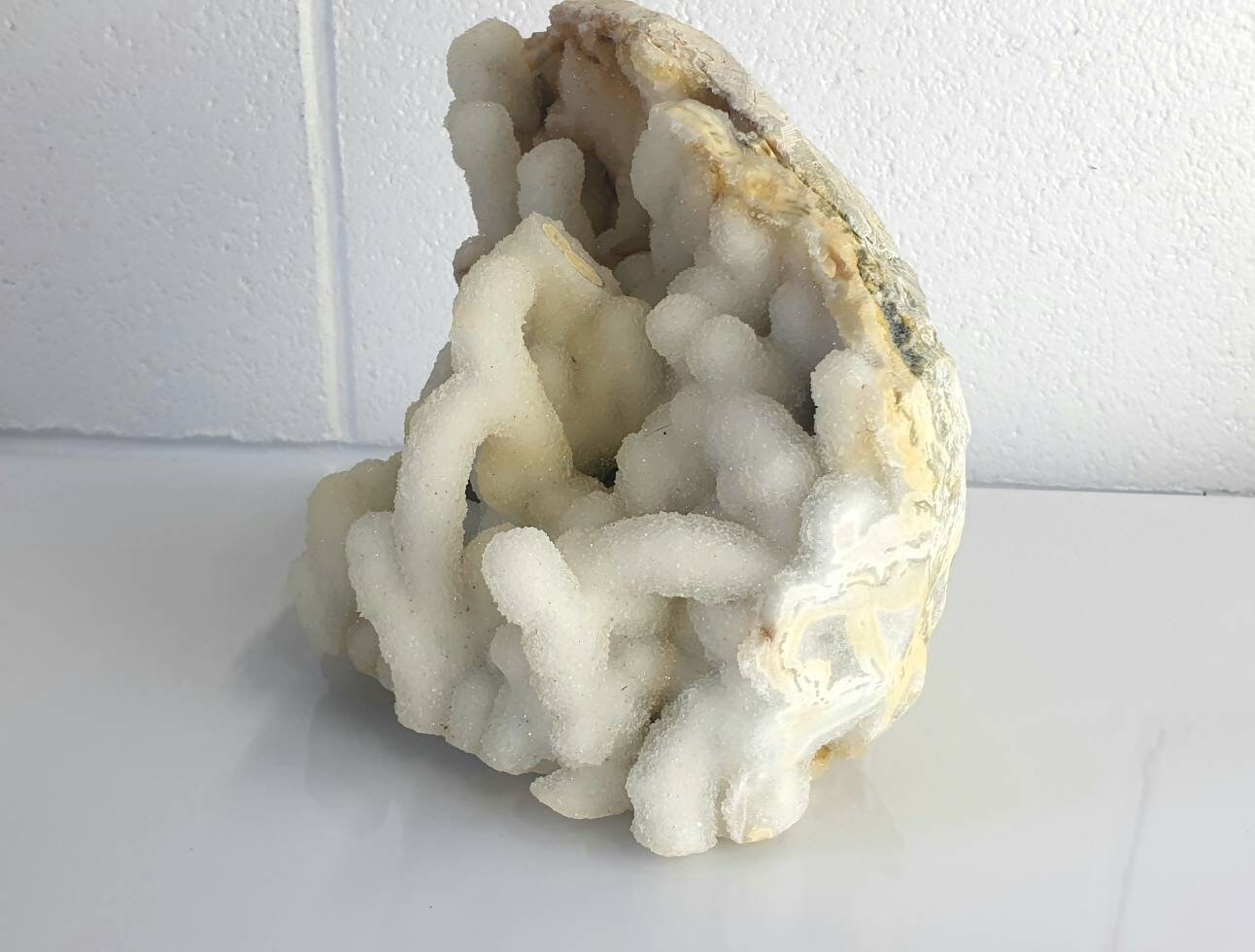 95) Large Quartz Crystal Stalactite Coral  Spirit Cactus