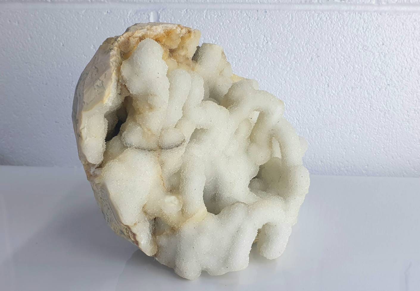 95) Large Quartz Crystal Stalactite Coral  Spirit Cactus