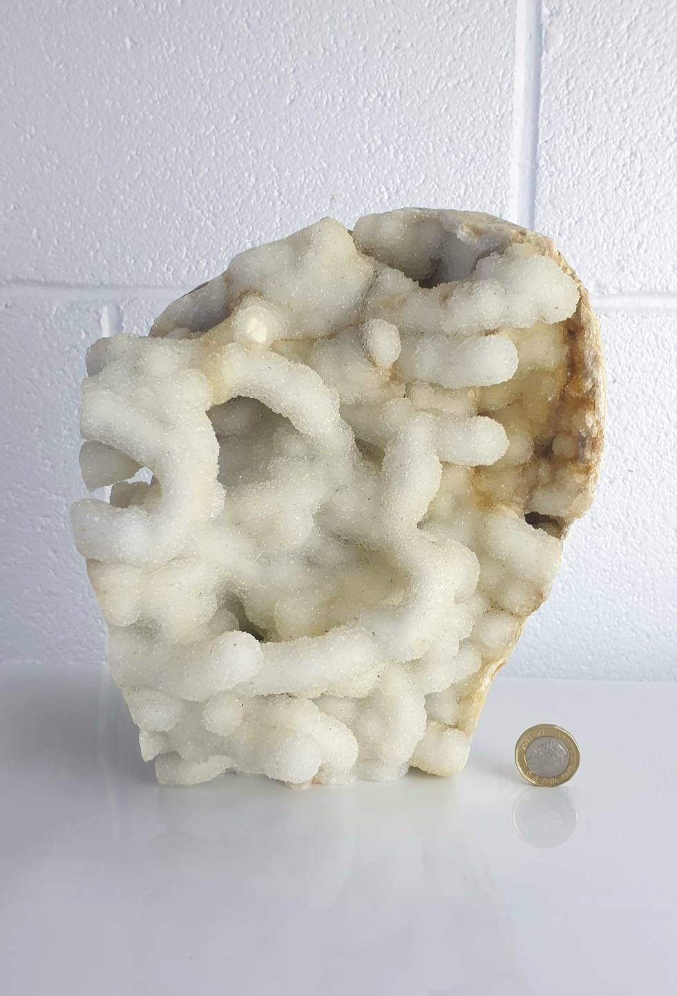 95) Large Quartz Crystal Stalactite Coral  Spirit Cactus