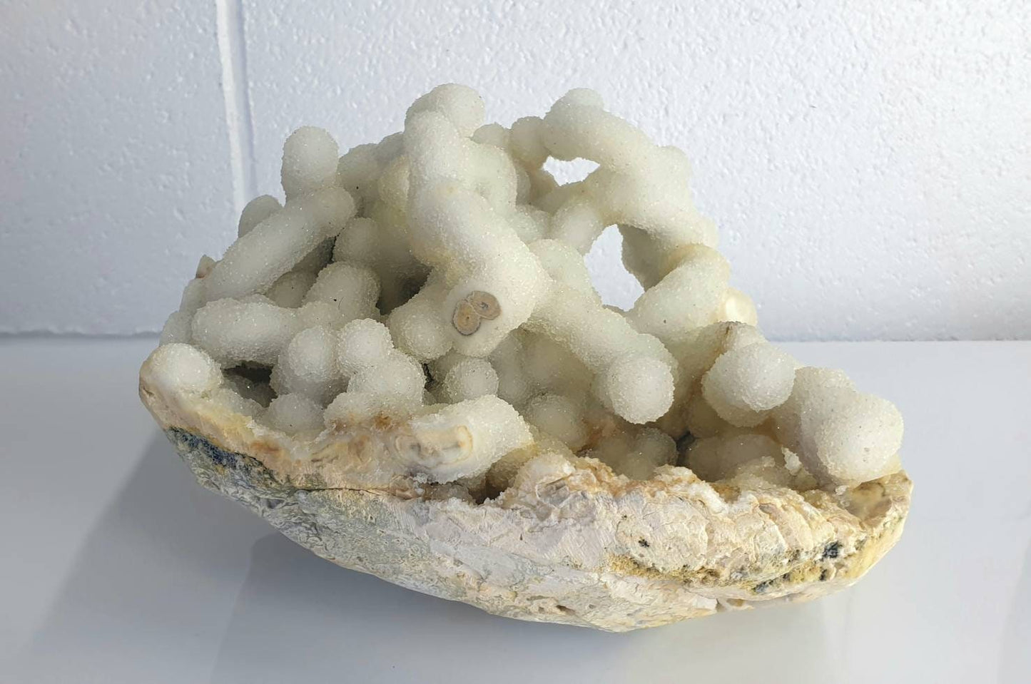 95) Large Quartz Crystal Stalactite Coral  Spirit Cactus
