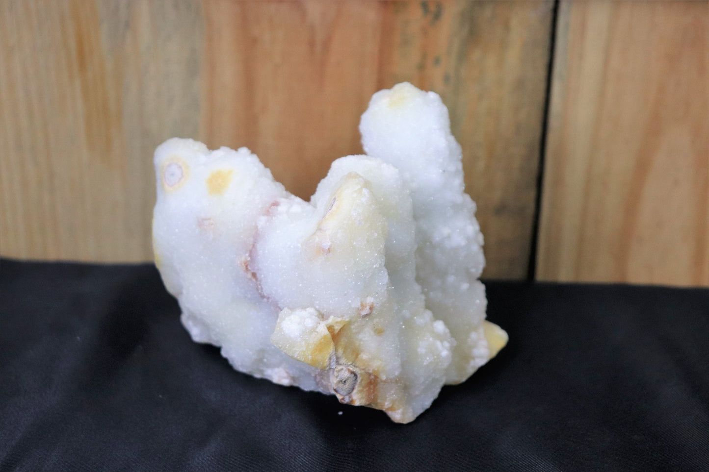 15) Large Quartz Crystal Stalactite Coral  Spirit Cactus