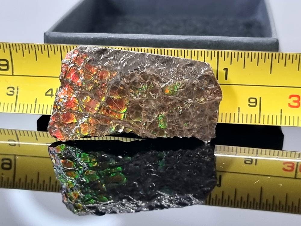 26) Ammolite Crystal Gemstone