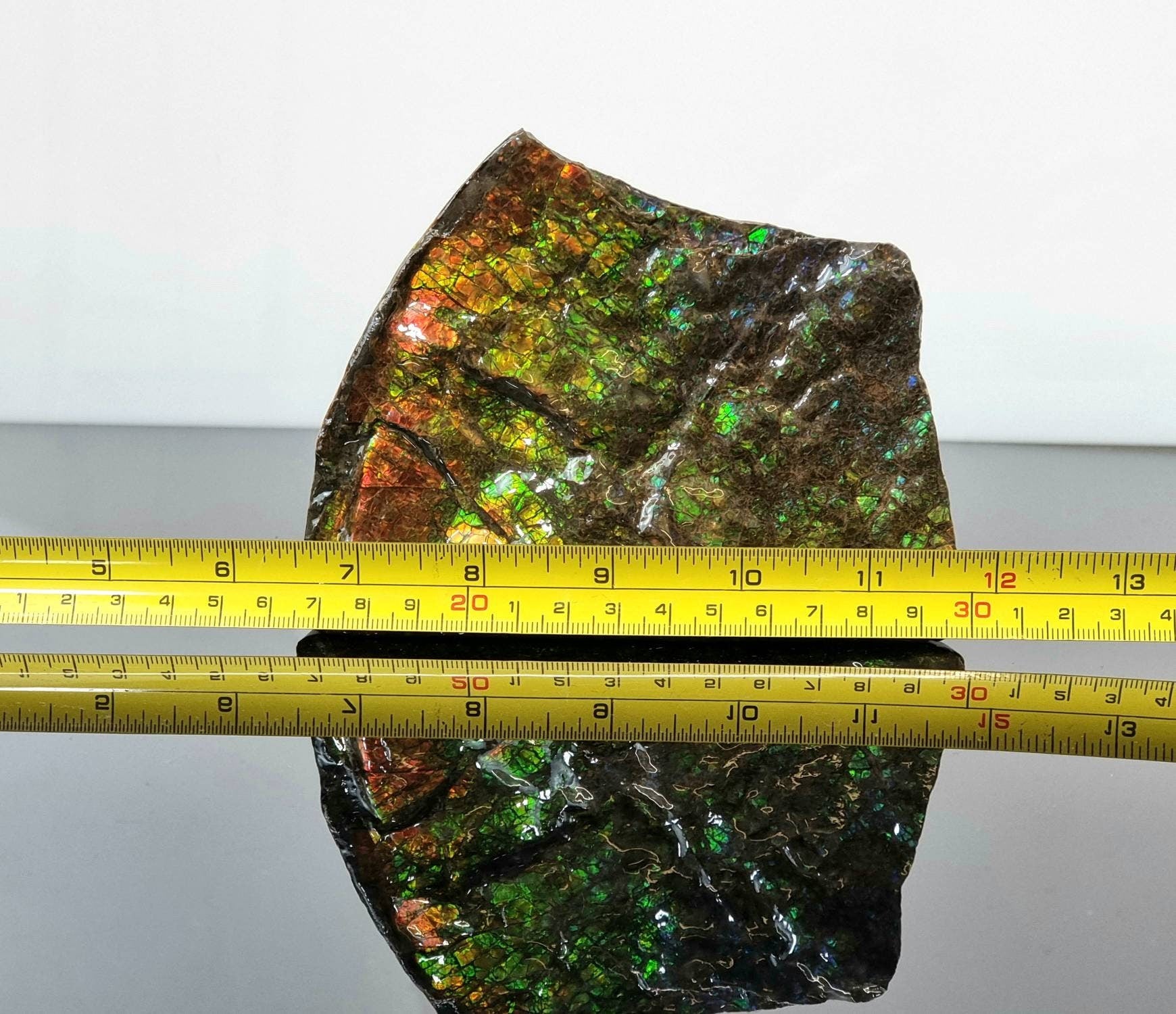 Large Ammolite Crystal Gemstone Distinction Crystals
