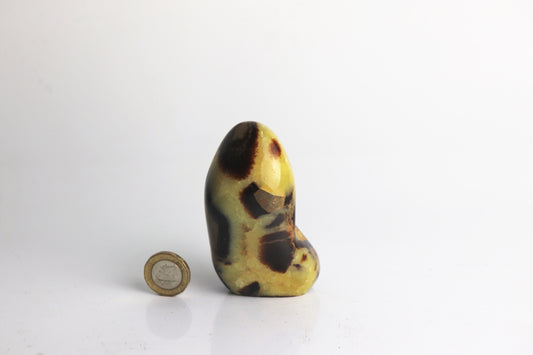 39) Septarian Yellow Calcite Crystal