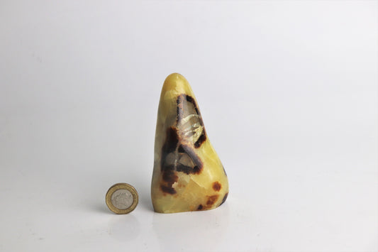 36) Septarian Yellow Calcite Crystal