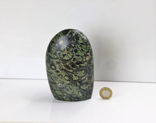 Large Kambaba Jasper Crystal Freeform