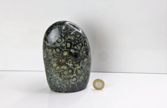 Large Kambaba Jasper Crystal Freeform