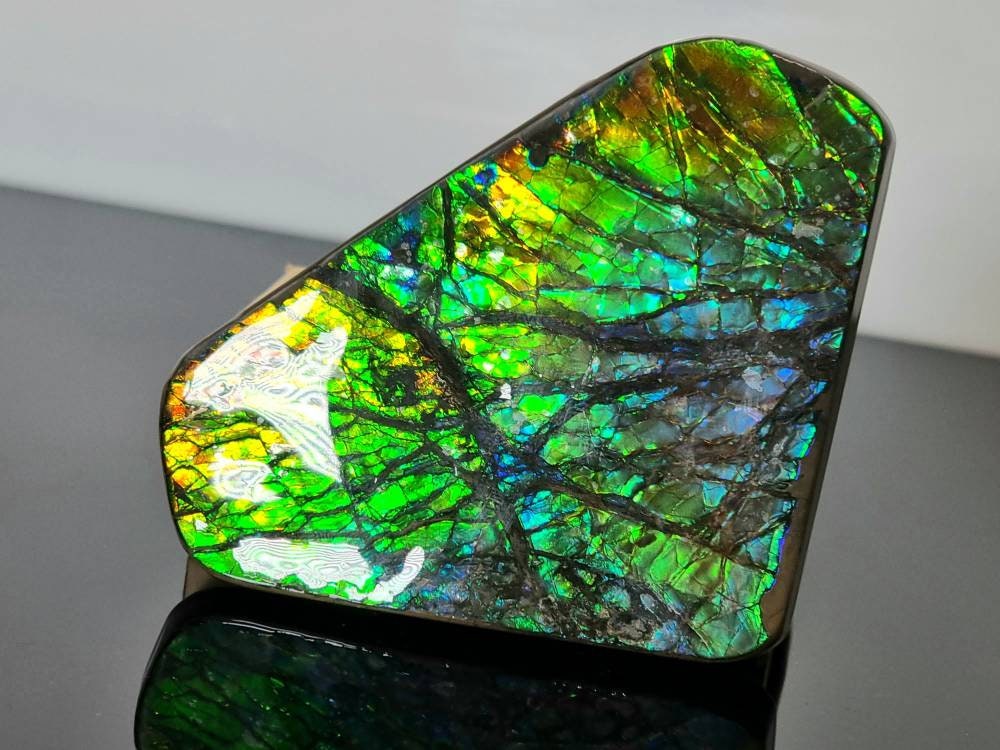 3ap) large Ammolite Crystal Gemstone