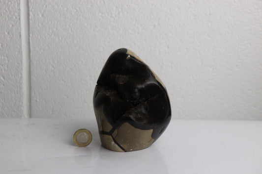 9) Black Septarian  Calcite Crystal