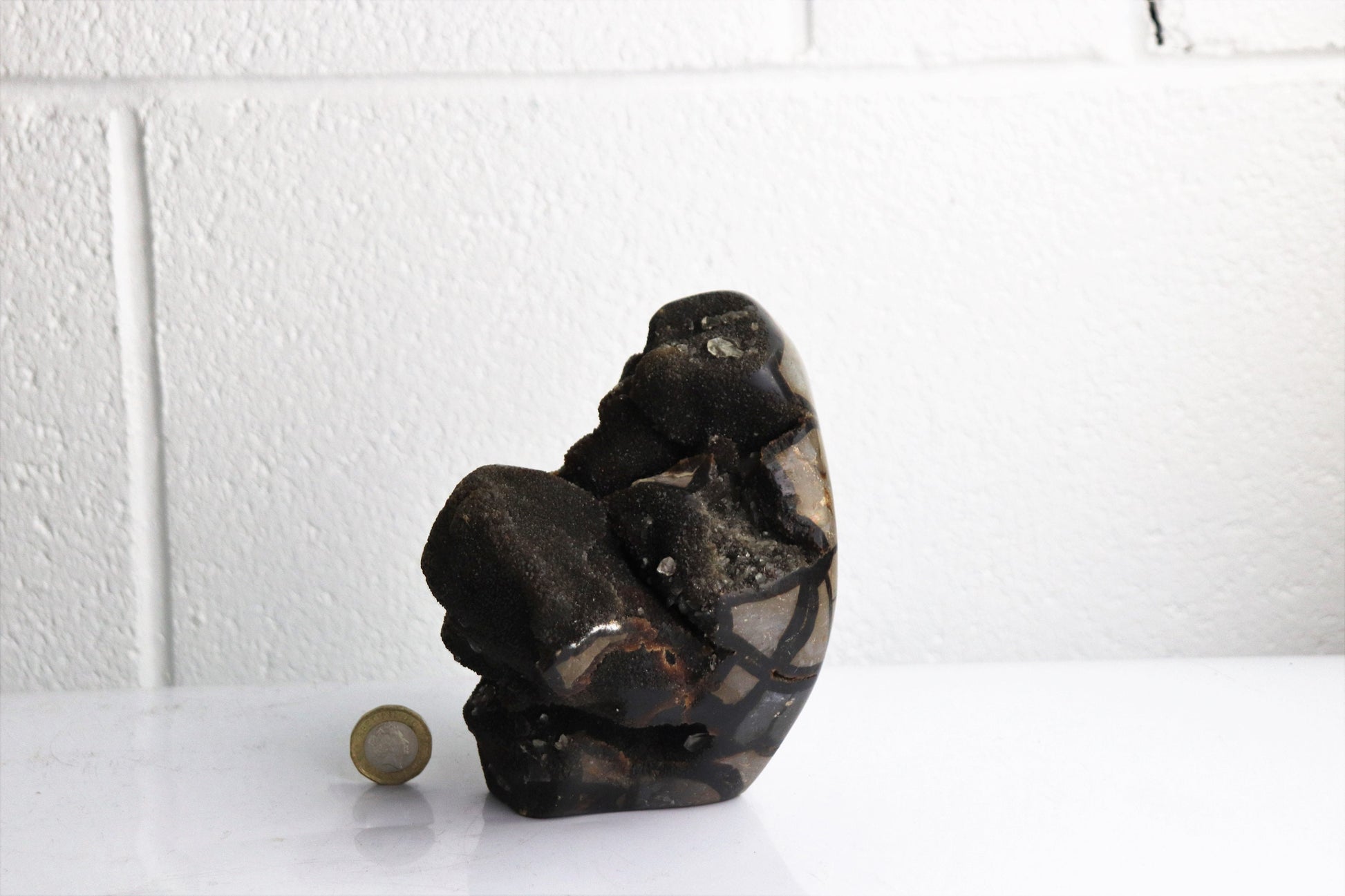 Black Septarian  Calcite Crystal