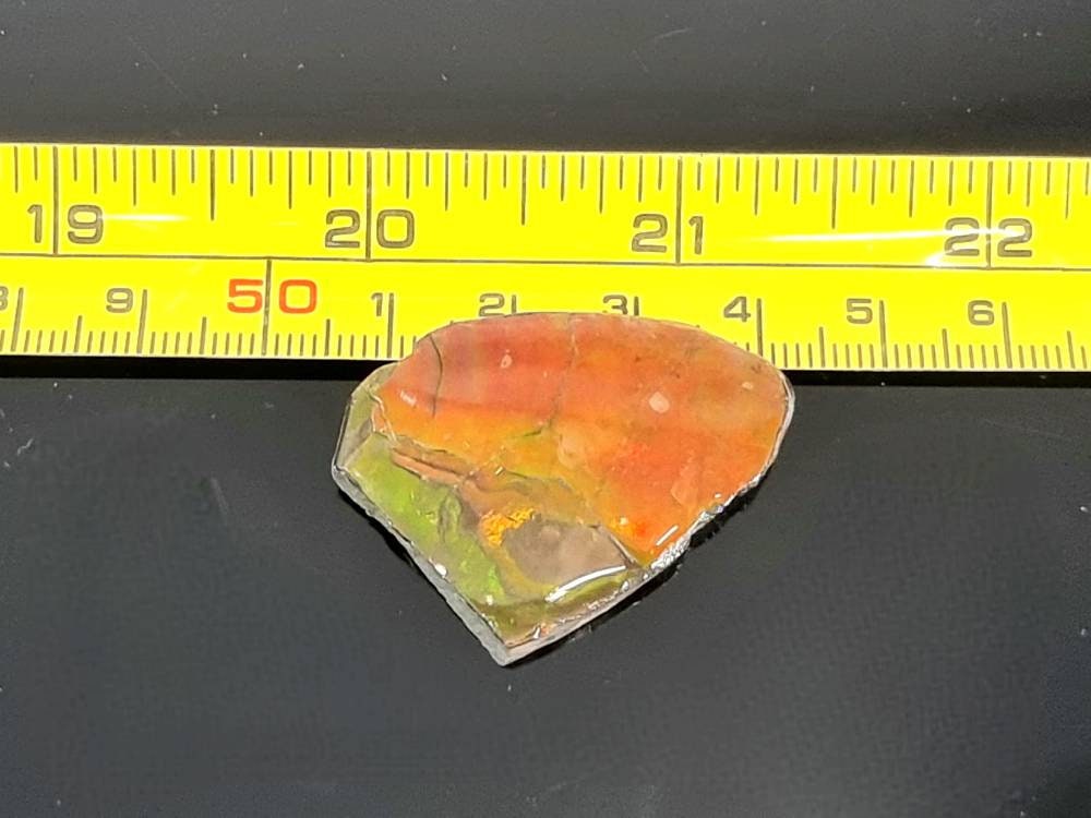 9am) Ammolite Crystal Gemstone