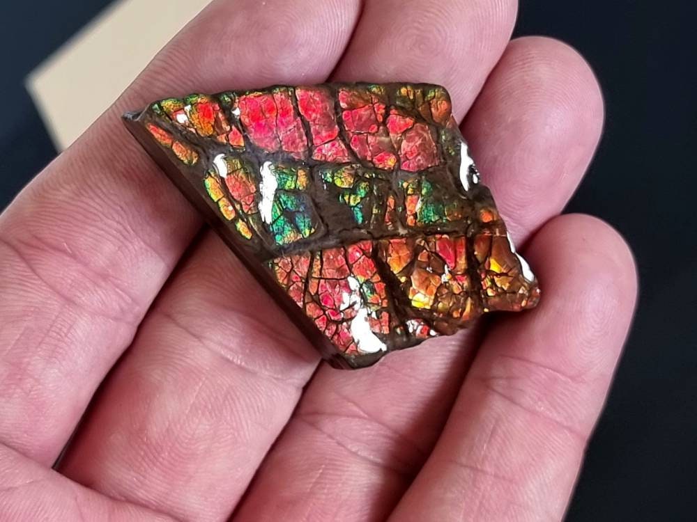 6am) Ammolite Crystal Gemstone