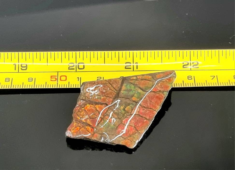 6am) Ammolite Crystal Gemstone