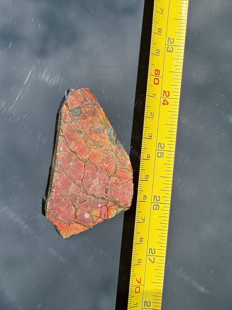21a) Ammolite Crystal Gemstone