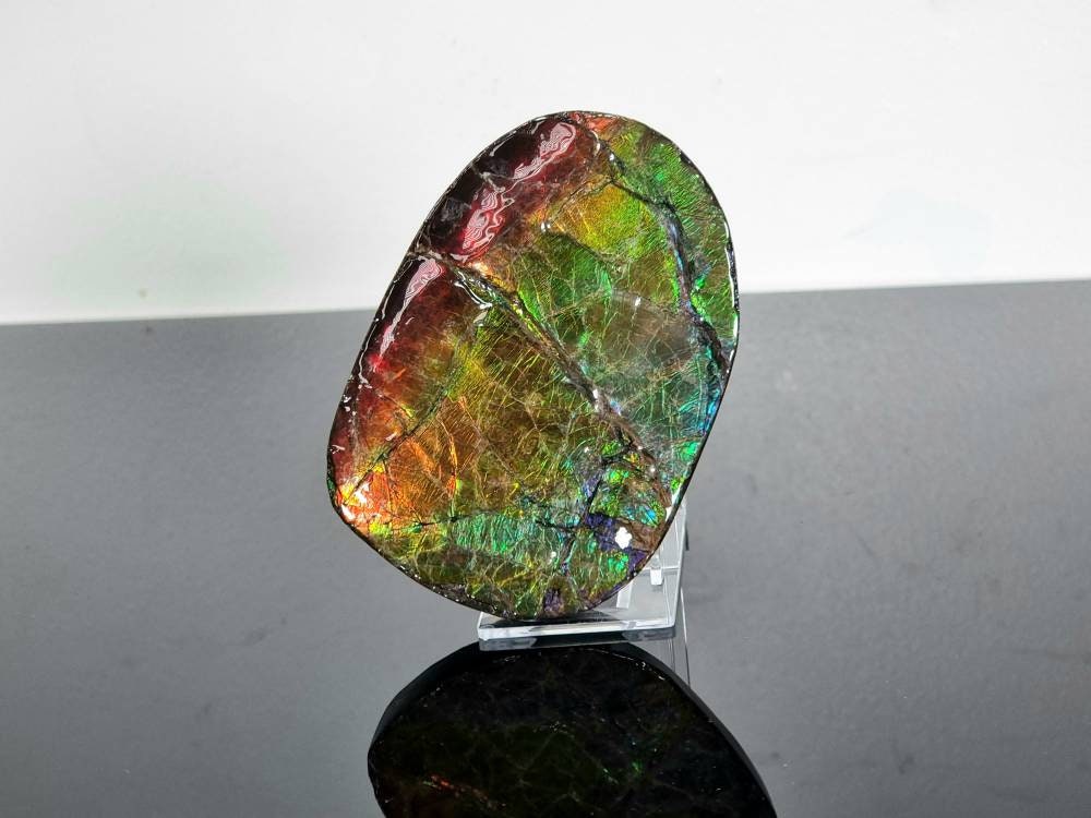 1ap) Large Ammolite Crystal Gemstone