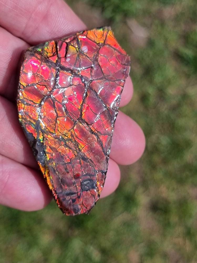 21a) Ammolite Crystal Gemstone