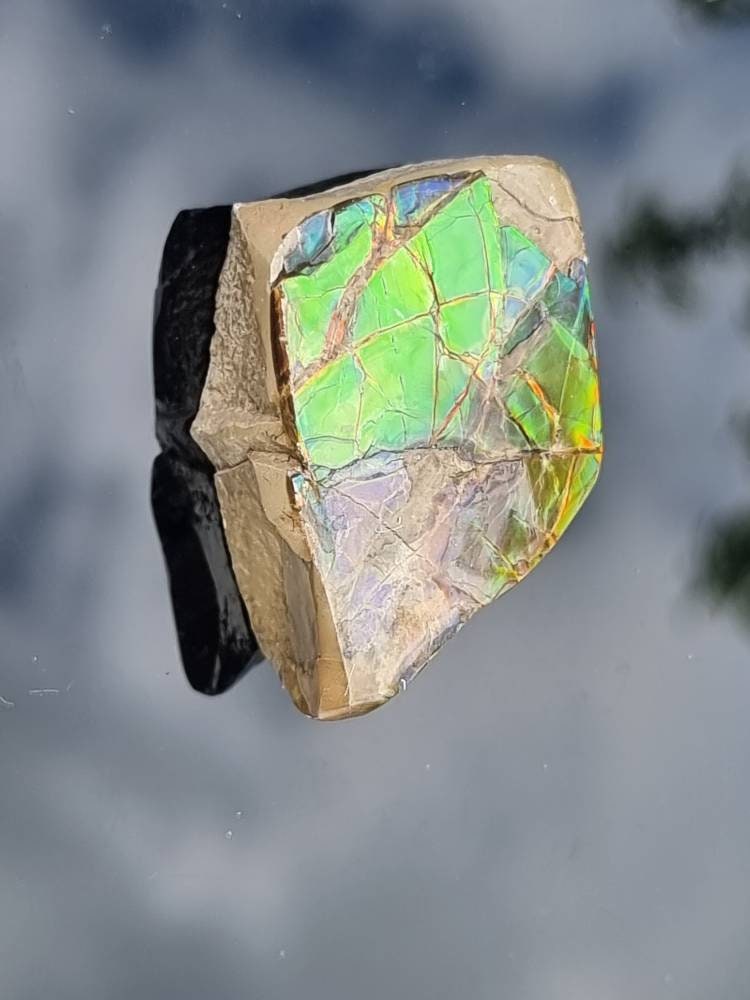 17) Ammolite Crystal Gemstone