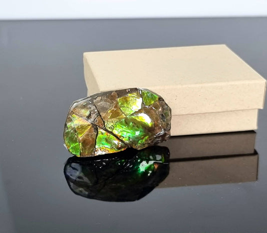 Ammolite Crystal Gemstone