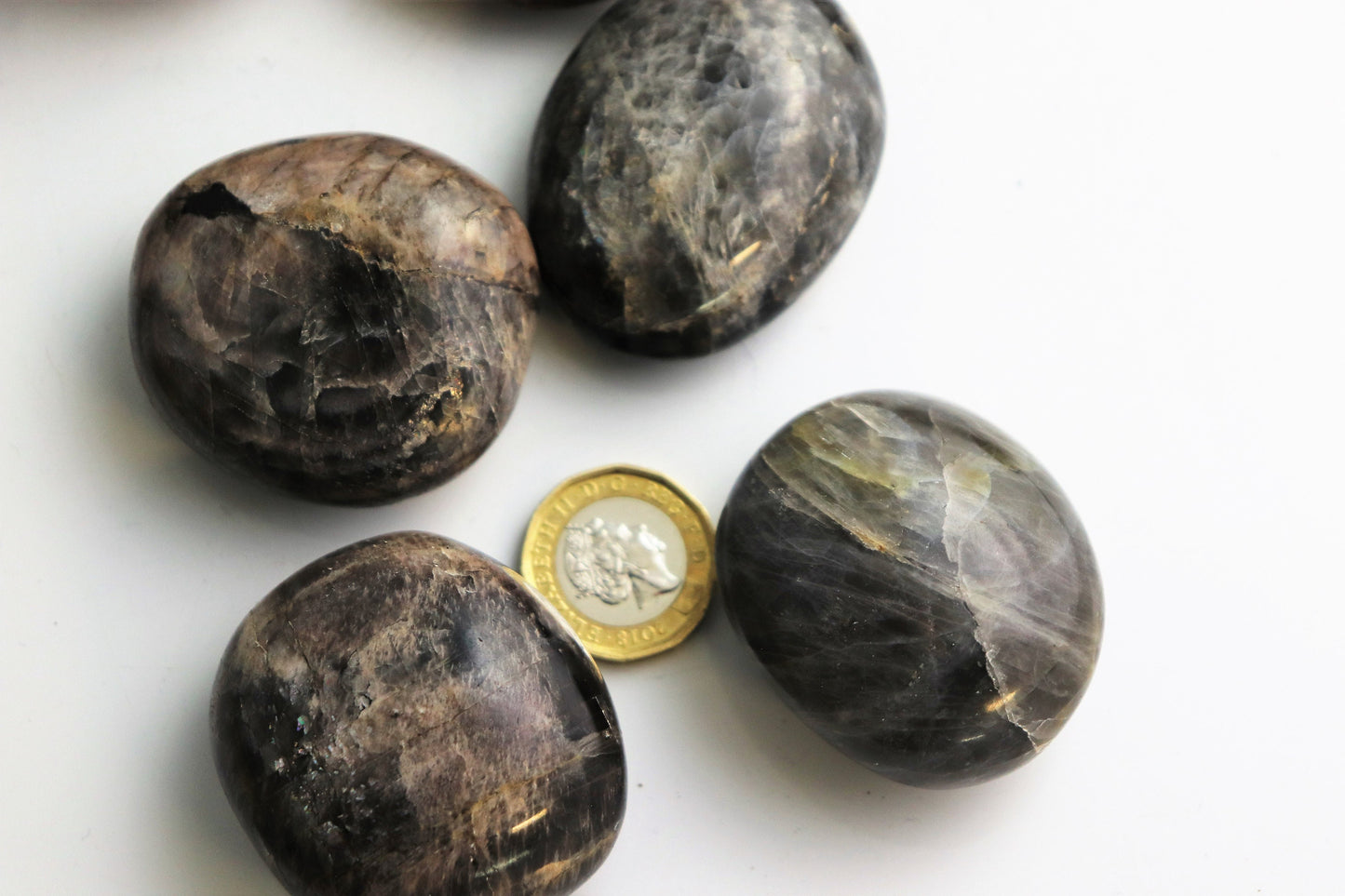 Black Moonstone Crystal Palm stone X1