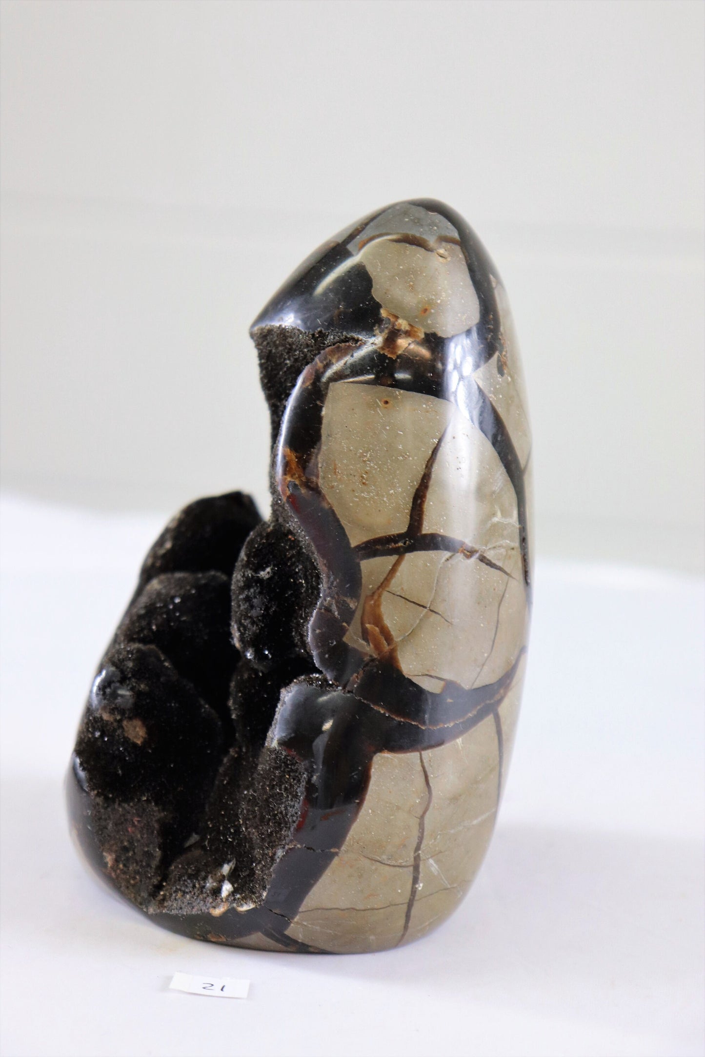 21) Large Septarian Dragon Stone Calcite Crystal Freeform  / Natural Unique Home Decor