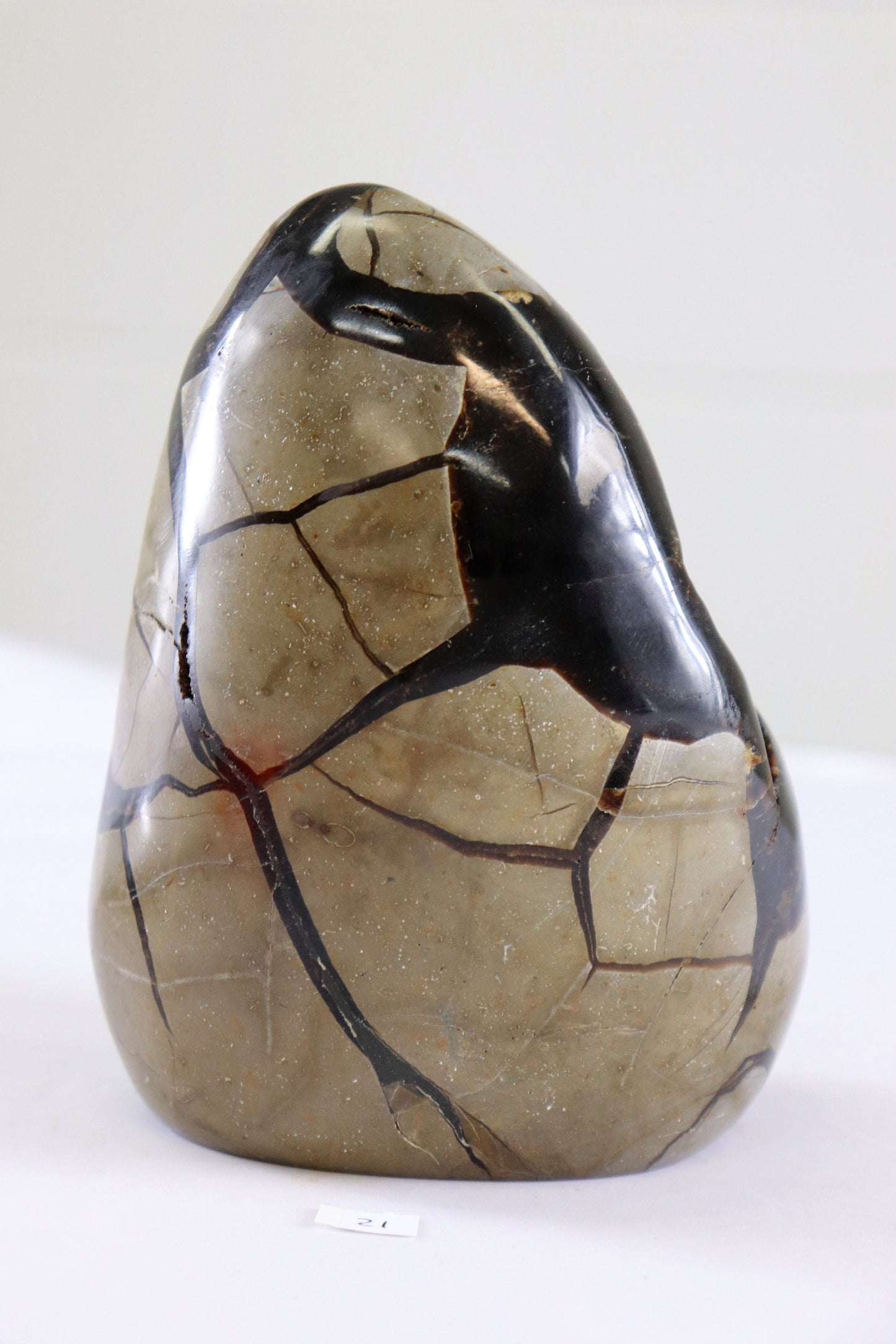 21) Large Septarian Dragon Stone Calcite Crystal Freeform  / Natural Unique Home Decor