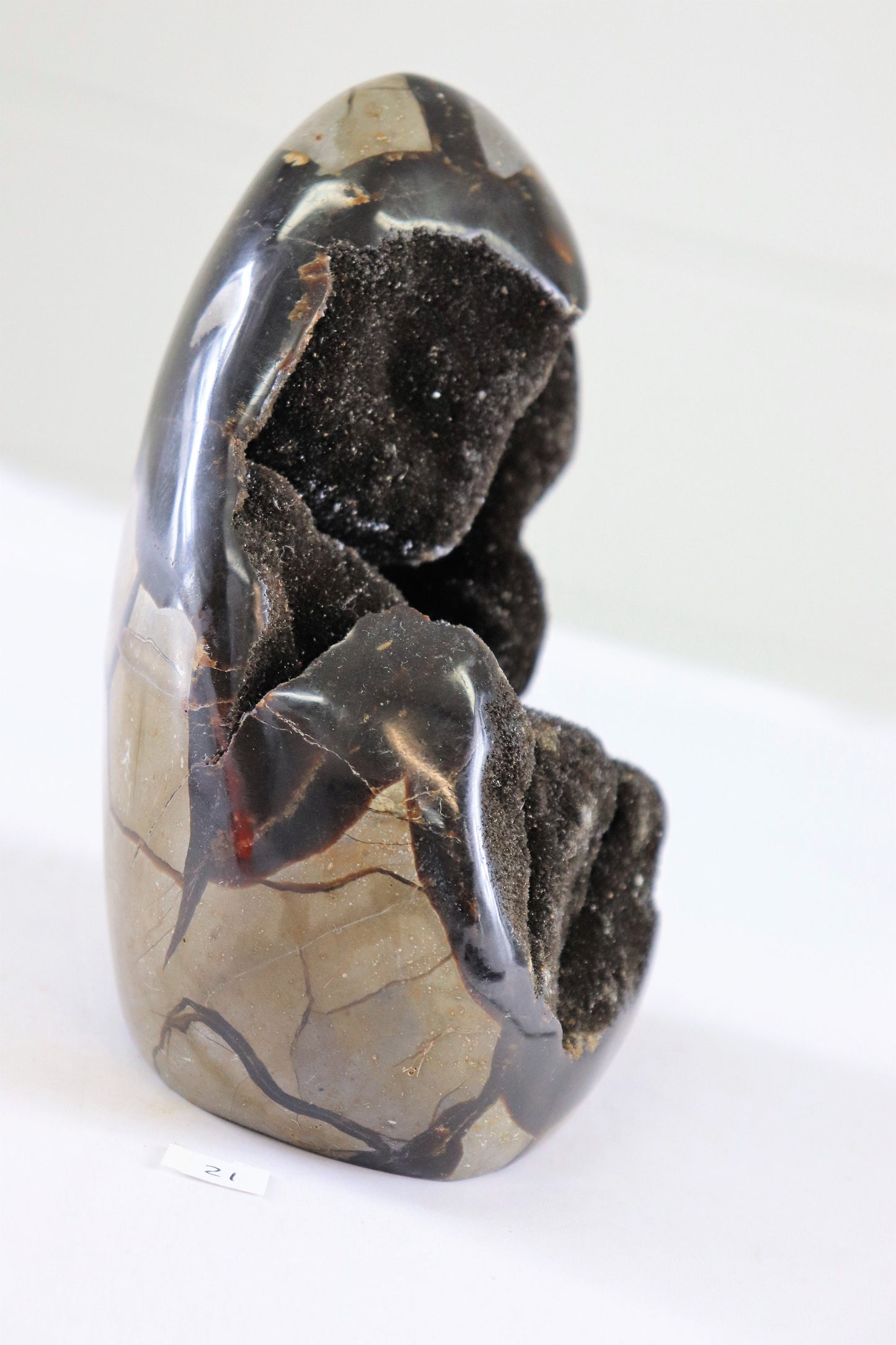 21) Large Septarian Dragon Stone Calcite Crystal Freeform  / Natural Unique Home Decor