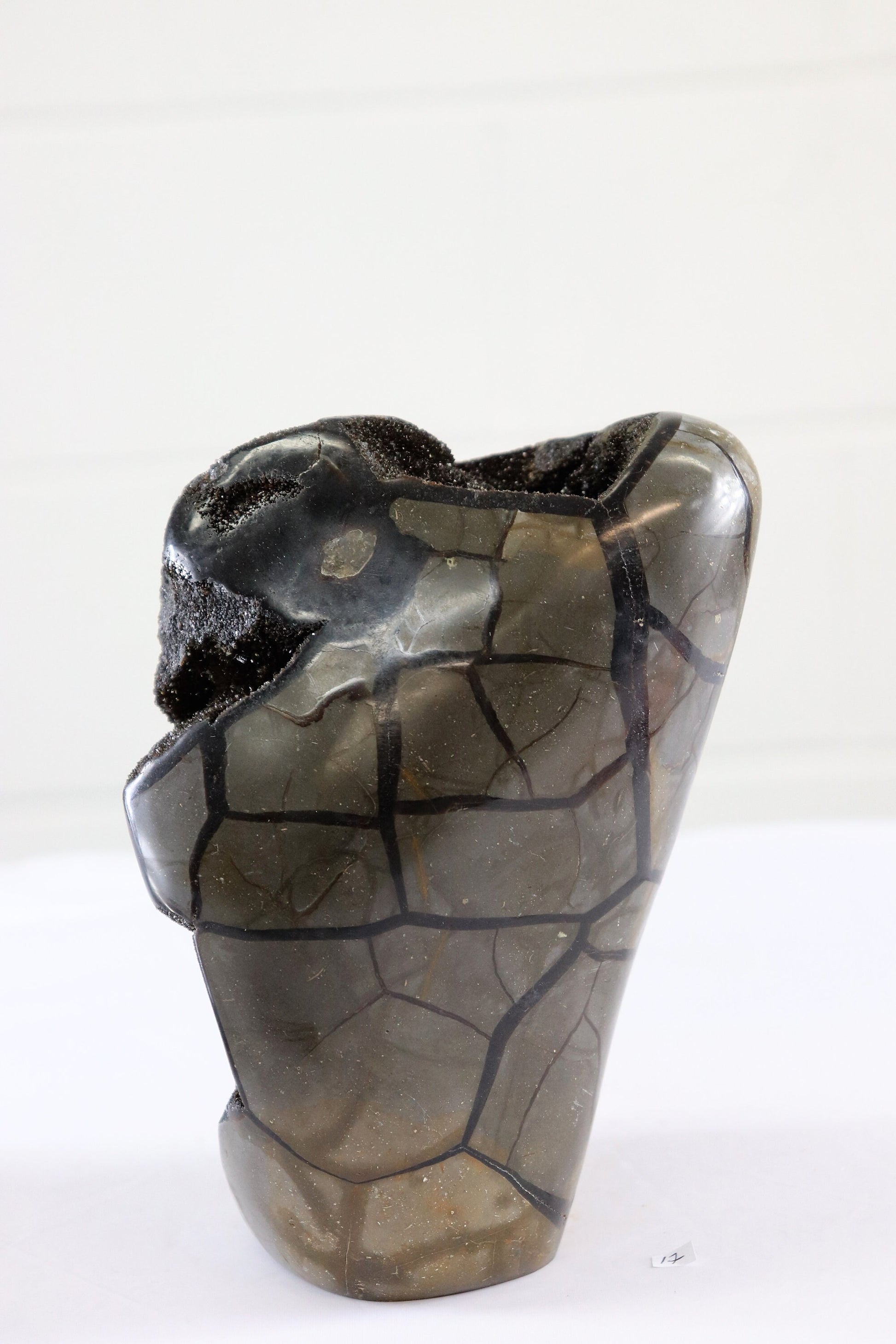 large septarian dragon stone crystal