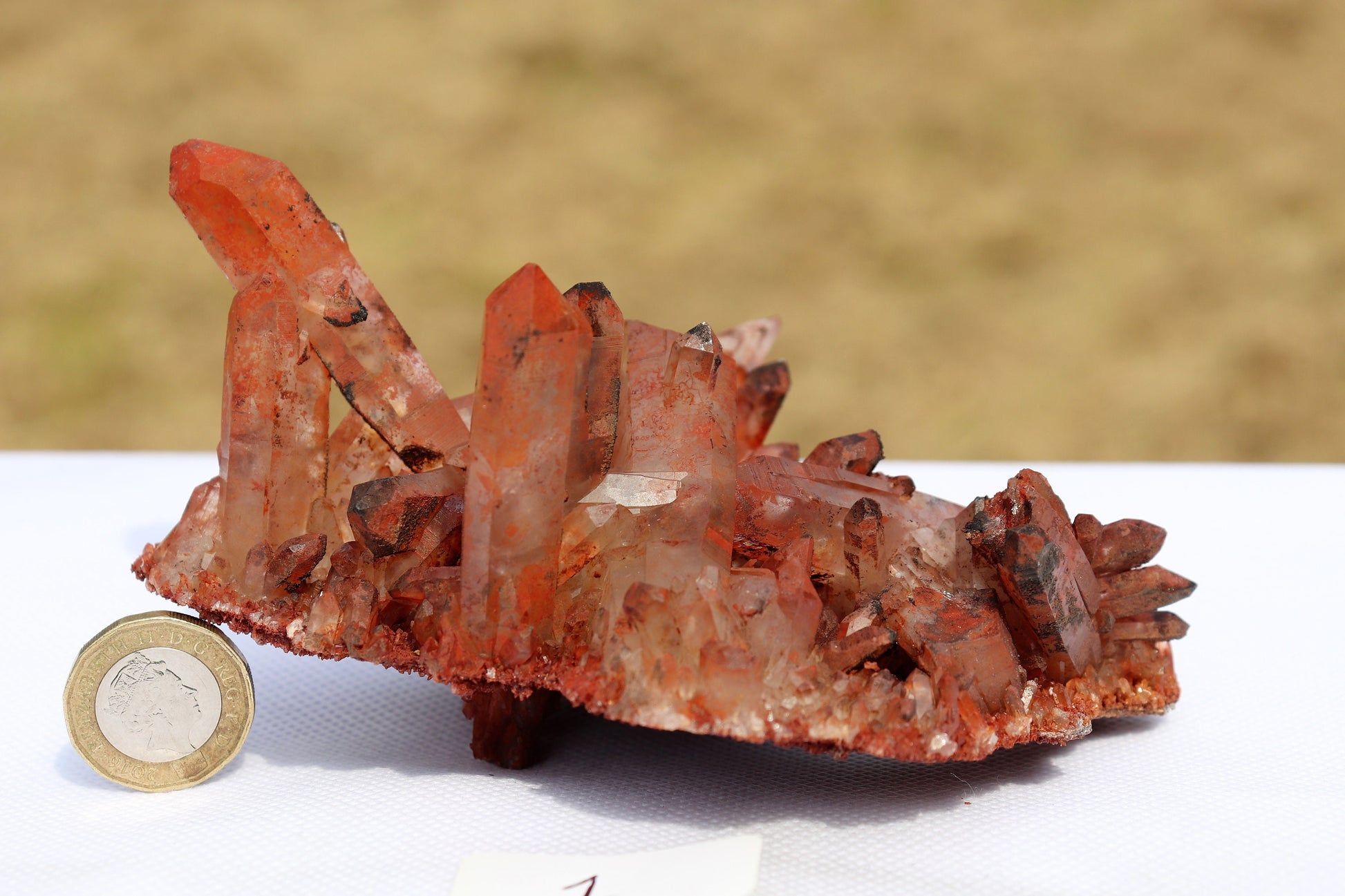 Hematite stained Quartz Crystal Cluster From Morocco