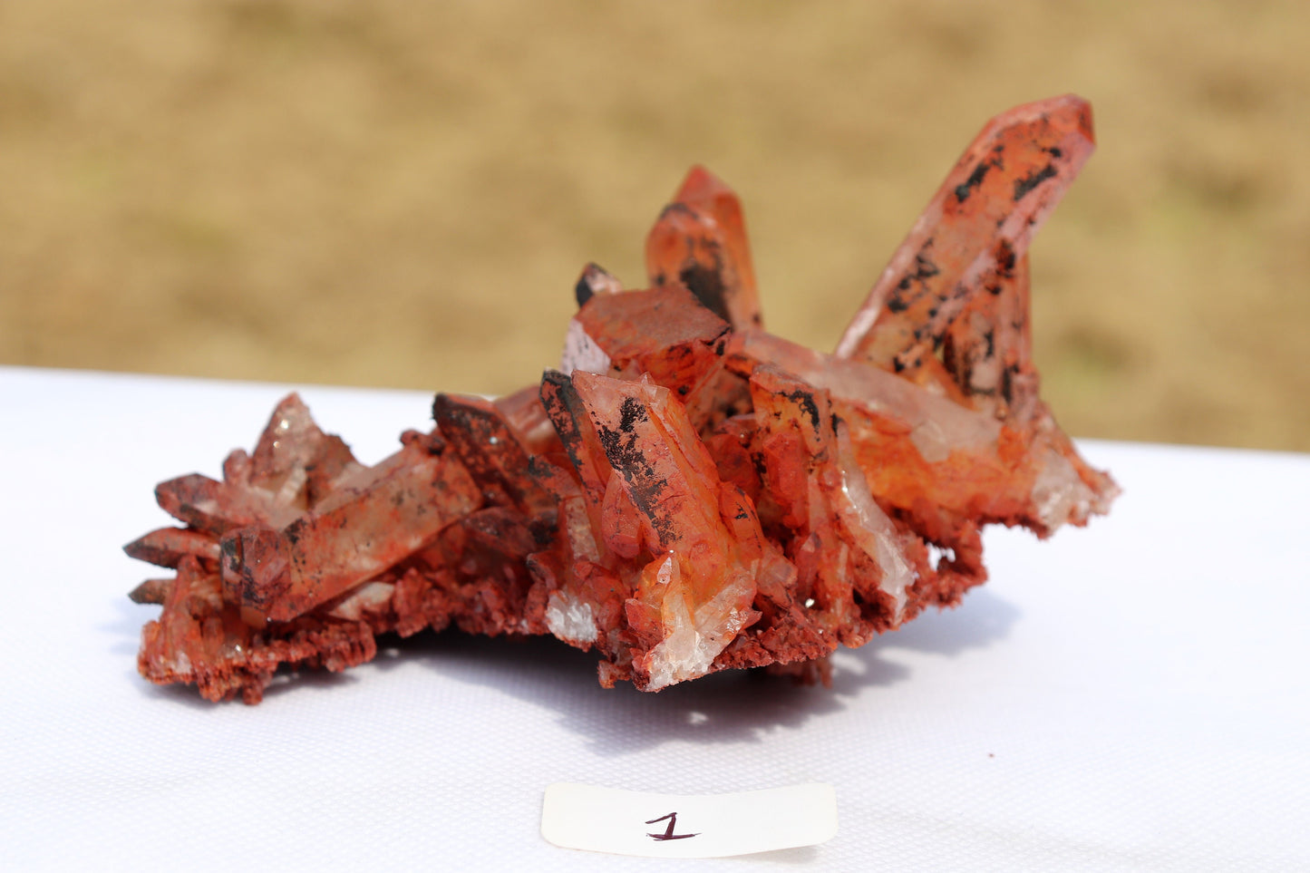 1) Hematite stained Quartz Crystal Cluster From Morocco