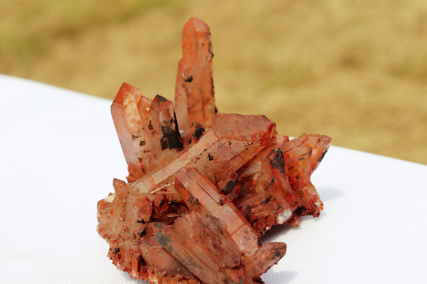 1) Hematite stained Quartz Crystal Cluster From Morocco