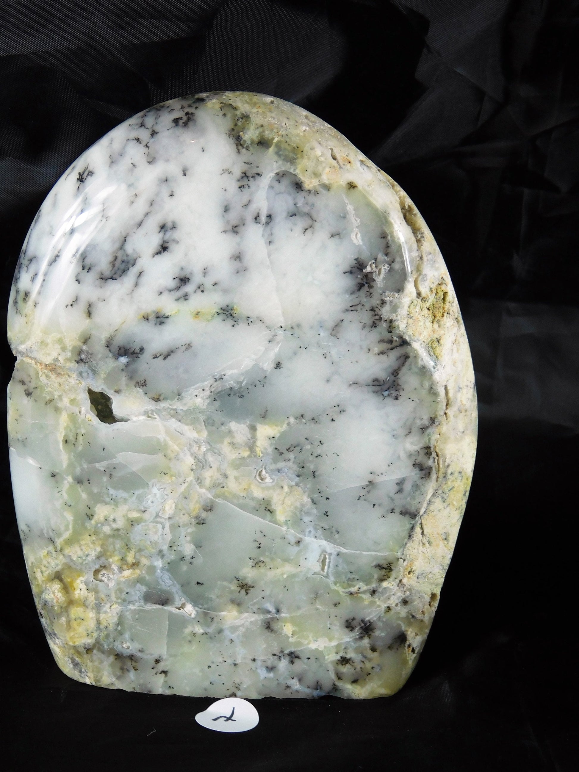 merlinite crystal dendritic agate freeform