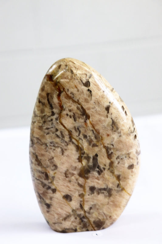 Zedbradorite Crystal Freeform - Feldspar + Smoky Quartz From Madagascar